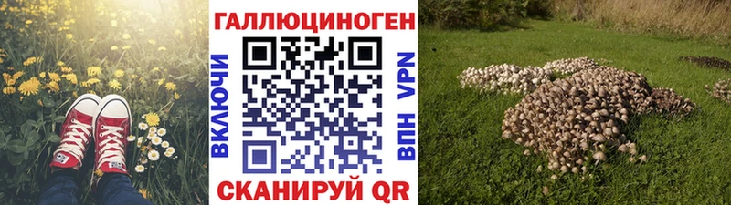 Купить где  Магадан  Галлюциногенные грибы Magic Shrooms 