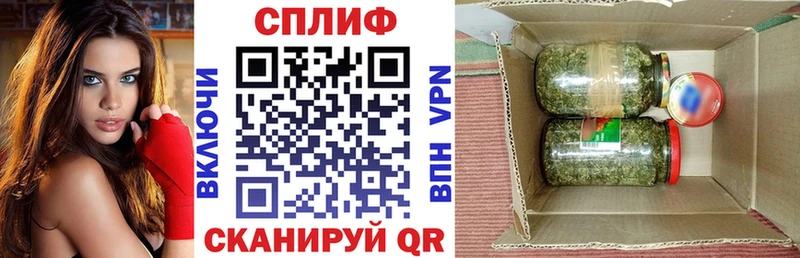 Бошки марихуана THC 21%  Купить закладки  Магадан 